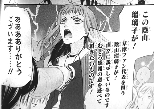 Skye's Scribblings: Manga Review: Fruits Basket Series (Natsuki